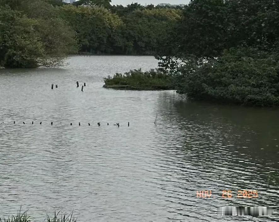 老了我才不去儿女家住，自在比啥都强！
 
真到了老得动不了那一天，我是坚决不跟儿