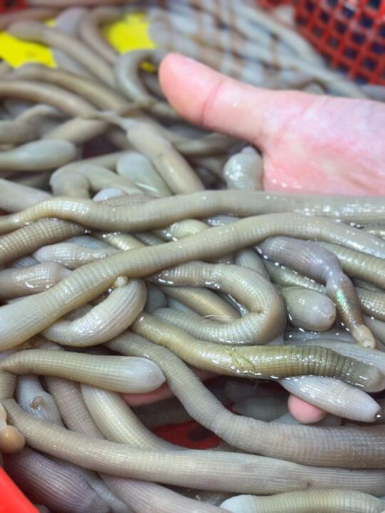 胆小勿进！厦门这个真的好好吃