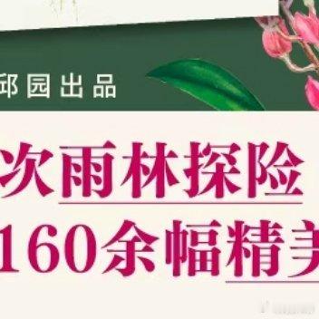 这些文字真的太减压太治愈了我的私人宝藏书单书评 📚《森林之花》出版社： 出品方