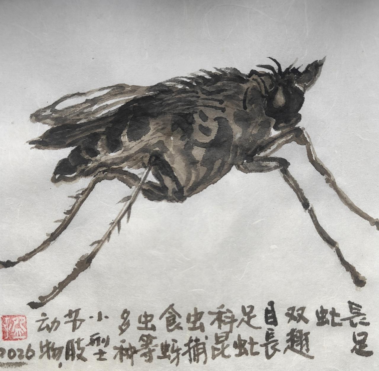 碗子的纸片水墨《昆虫系列.长足虻》
