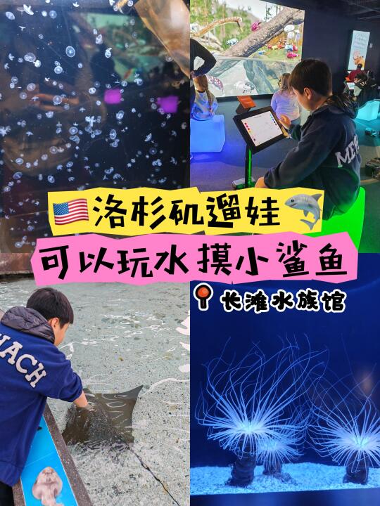 🇺🇸洛杉矶遛娃🦈可以摸小鲨鱼的长滩水族馆