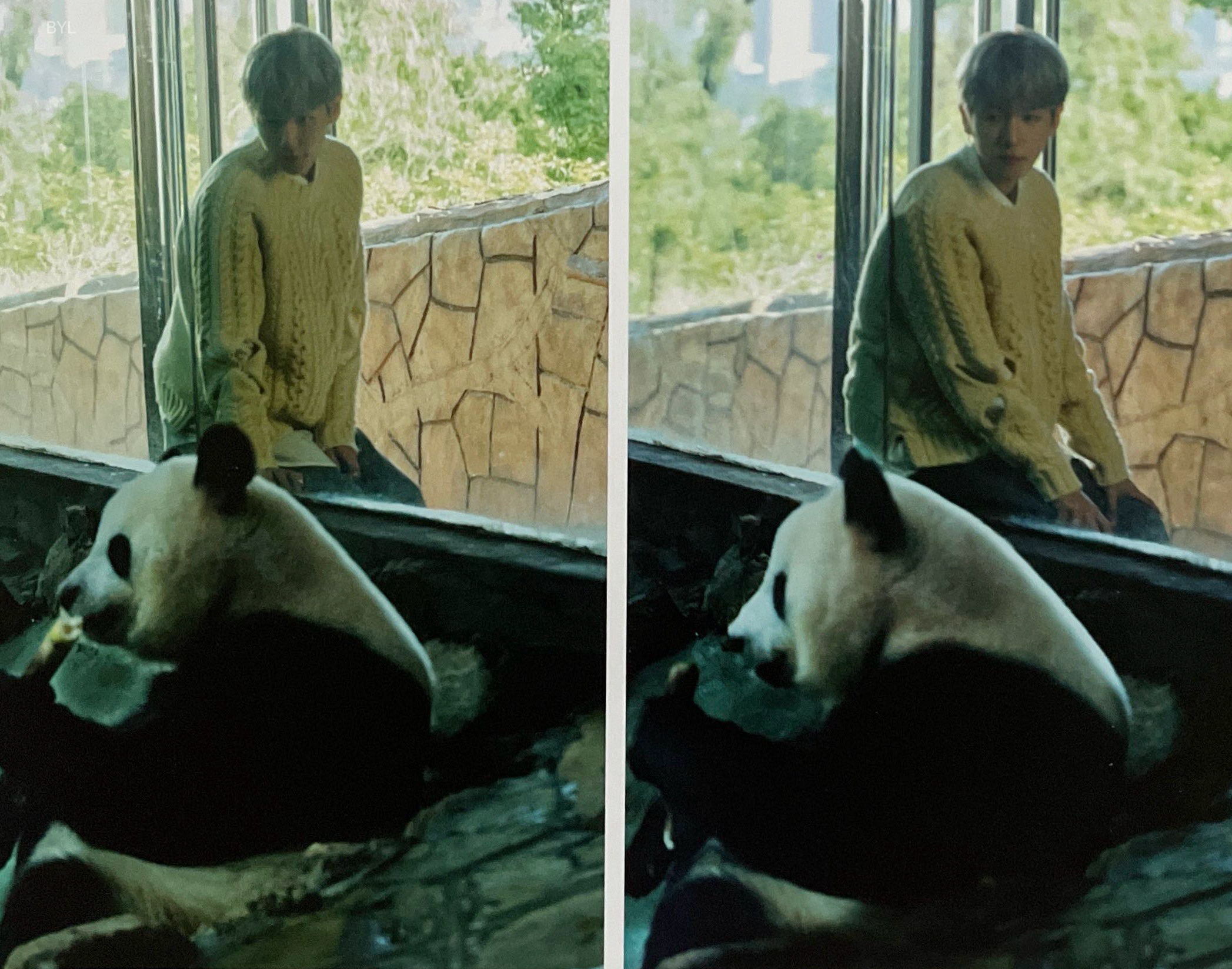 边伯贤 Somewhere else Part One 熊猫超可爱 扫图小狗🐶