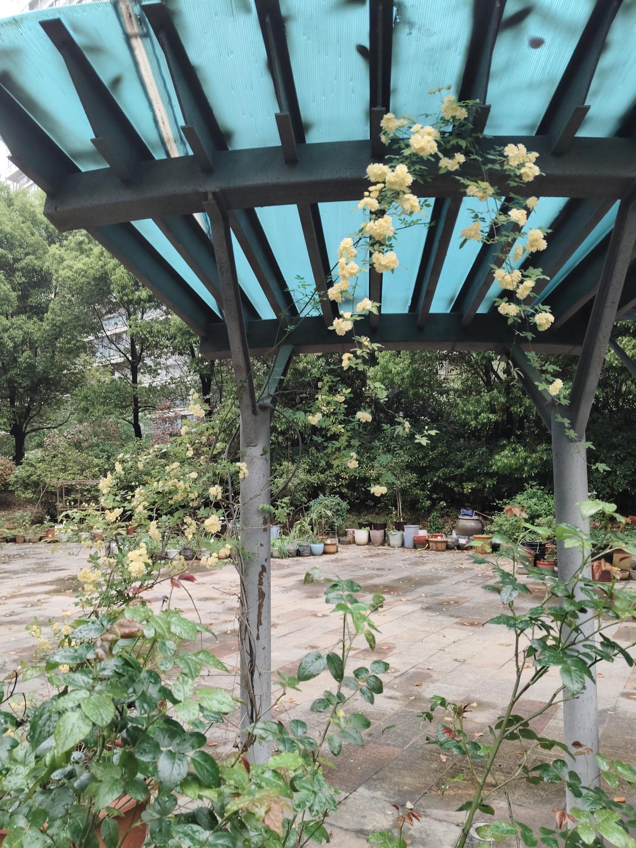 【和谈大事件来了】今日（4月11日），以美国副总统万斯为团长的美国谈判代表团抵达