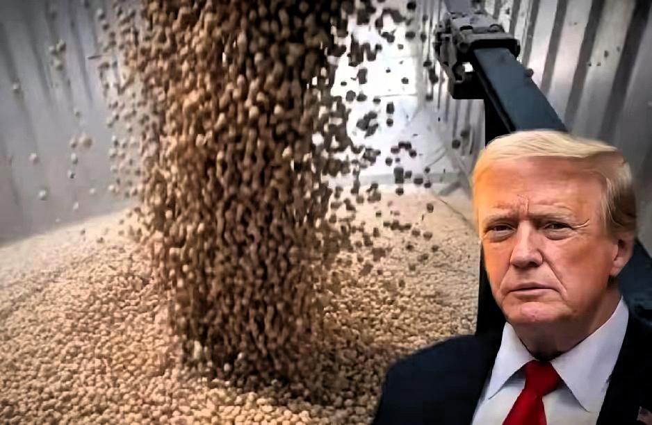 万万没有想到，
​中国展现极大合作诚意，大量买美大豆，放宽稀土供应，却换来了美国