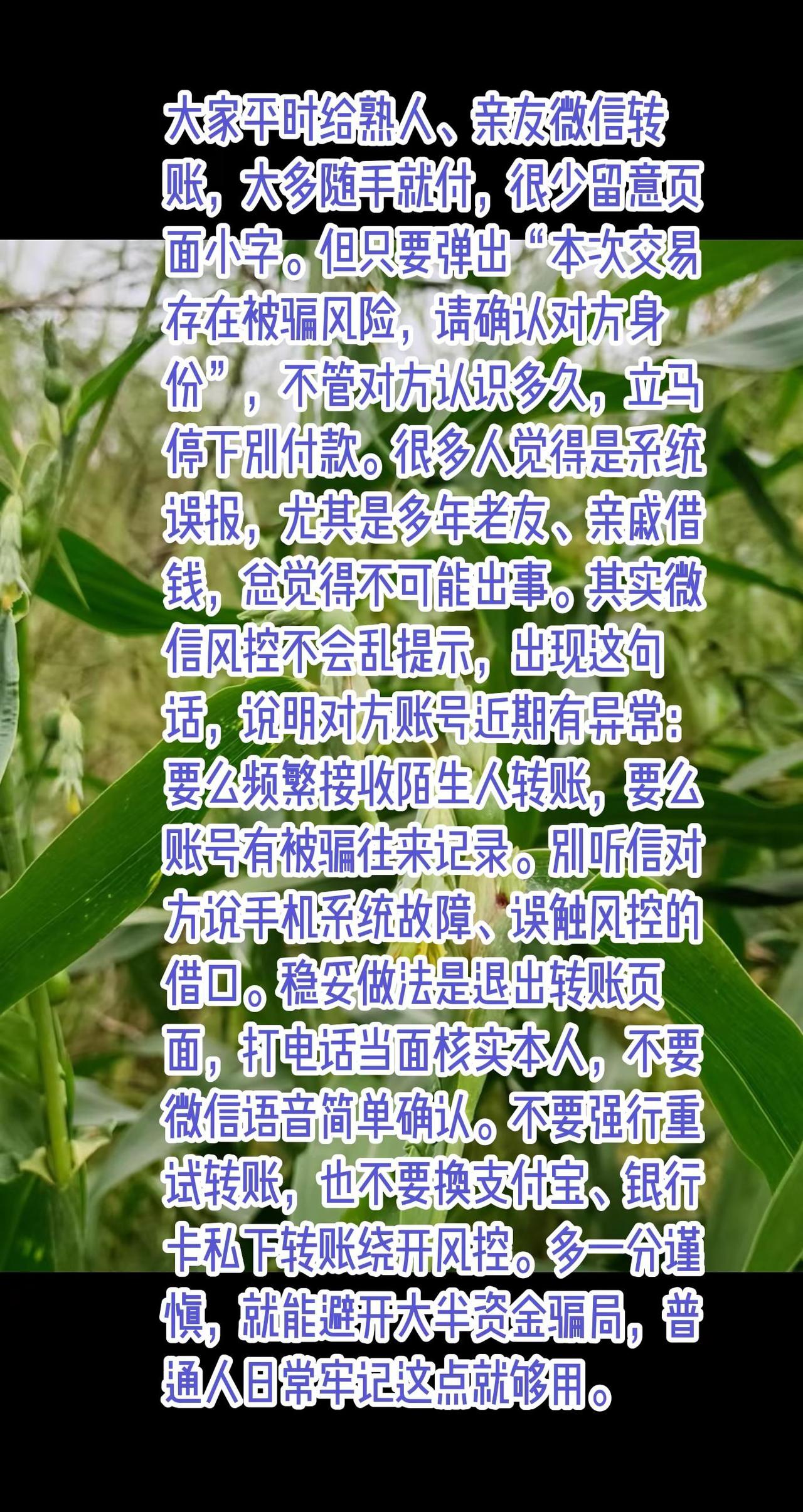 给别人微信转账时，出现这行字，记得别付款。上热门大家平时给熟人、亲友微信转账，大
