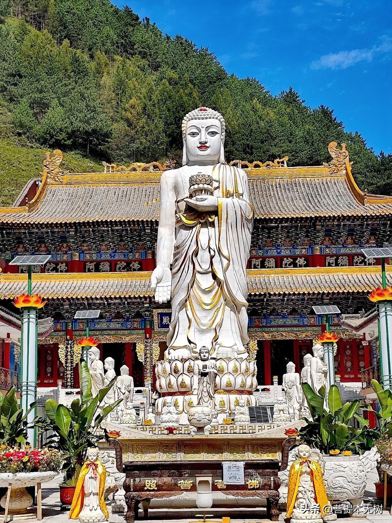 五台山容易被忽略的巨像｜白云寺露天阿弥陀佛
 
来五台山，大多奔着五爷庙、显通寺