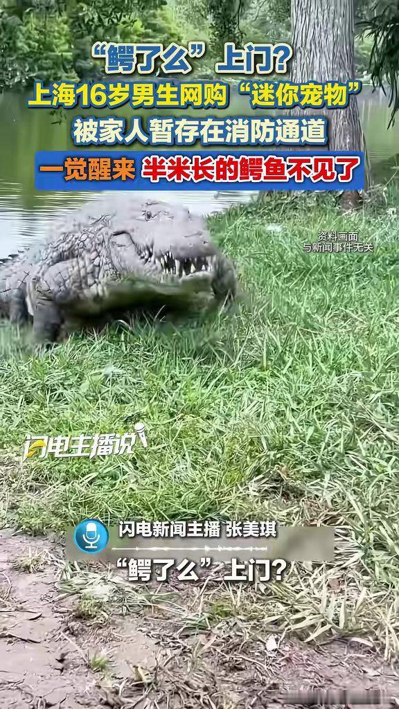 家里怕鳄鱼伤人，转手却把它放进了消防通道。上海一名16岁男生网购近半米鳄鱼，家人