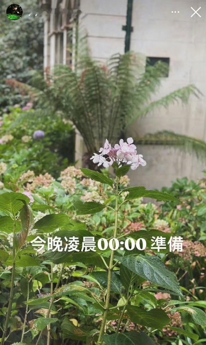 周杰伦说今晚0点准备3月17日，周杰伦社媒更新：“今晚凌晨0:00准备。” 谁懂