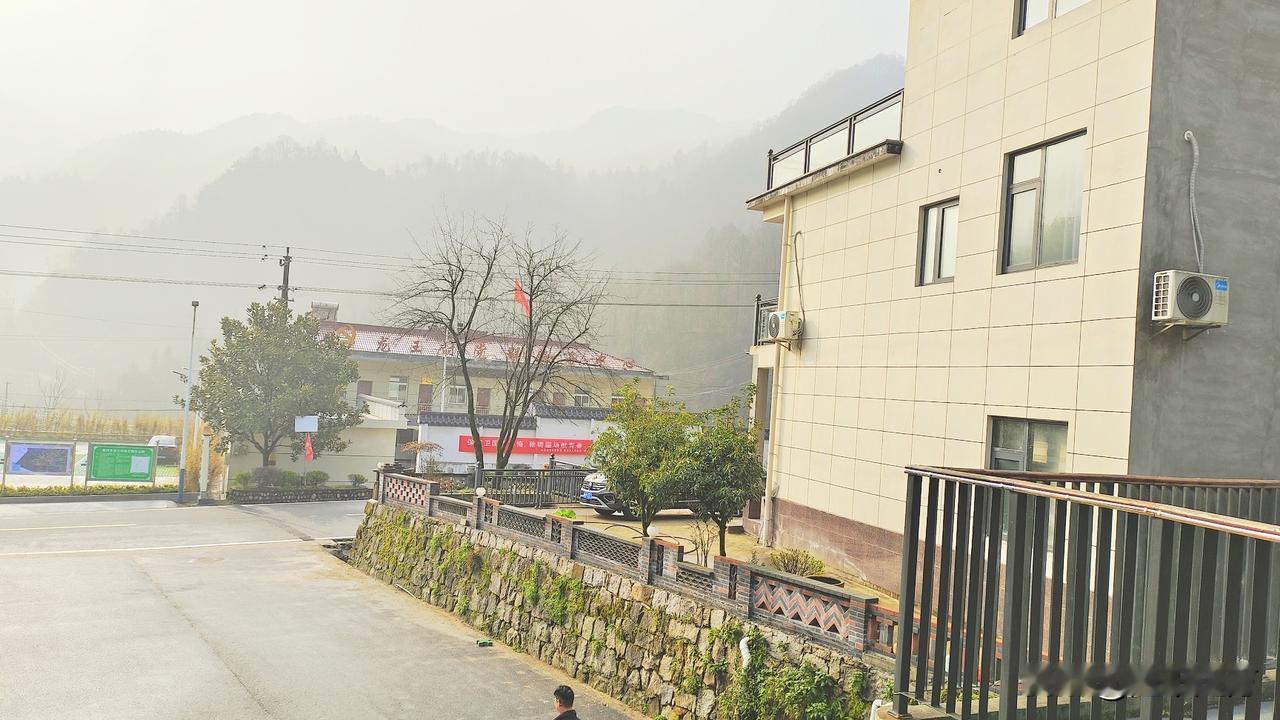 今天早上，百鸟的欢呜把我叫醒了。拉开窗帘，一看正如天气预报告知的那样，太阳如约而
