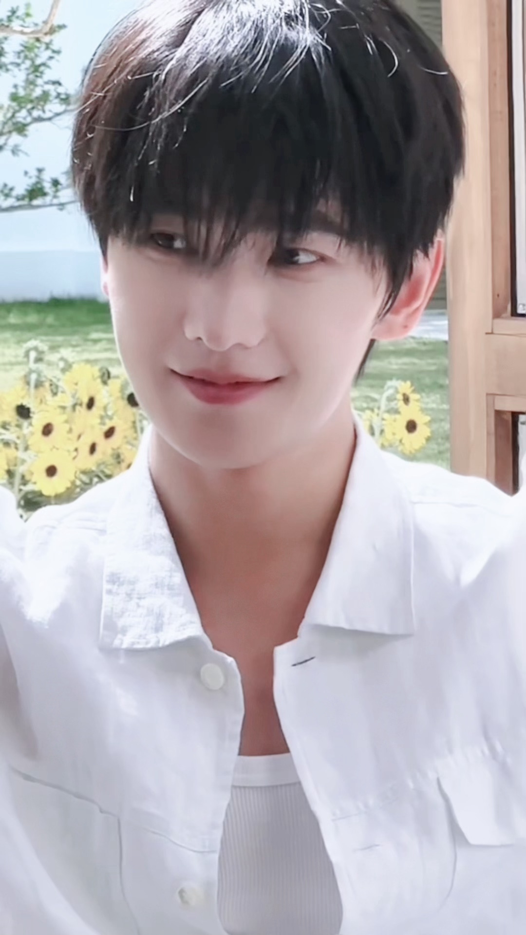 杨洋  请打开live 杨洋