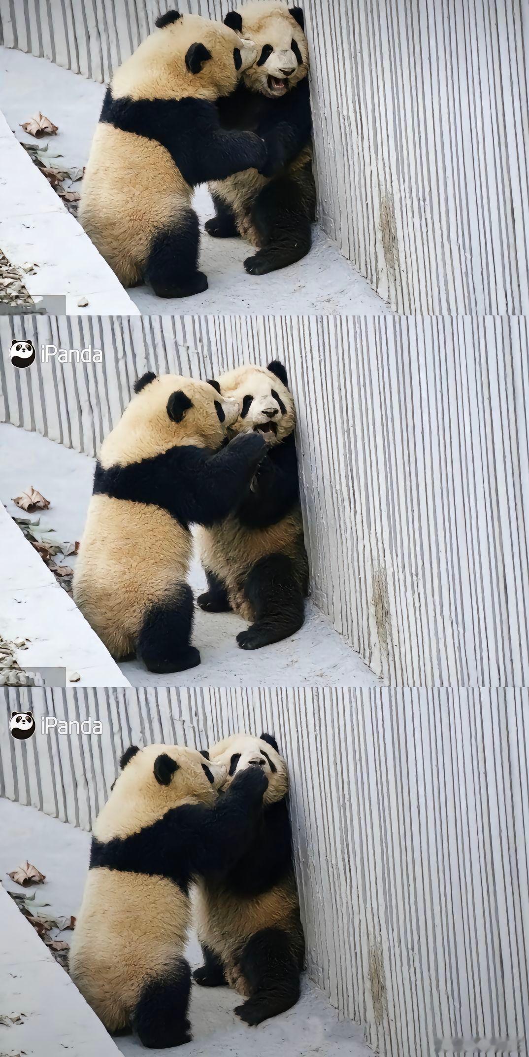 我是和你玩儿呢，不许张口喊妈妈！！[doge][doge] 