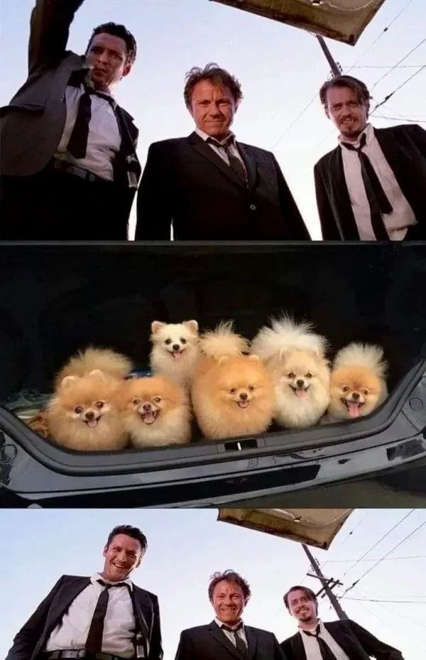 yes 