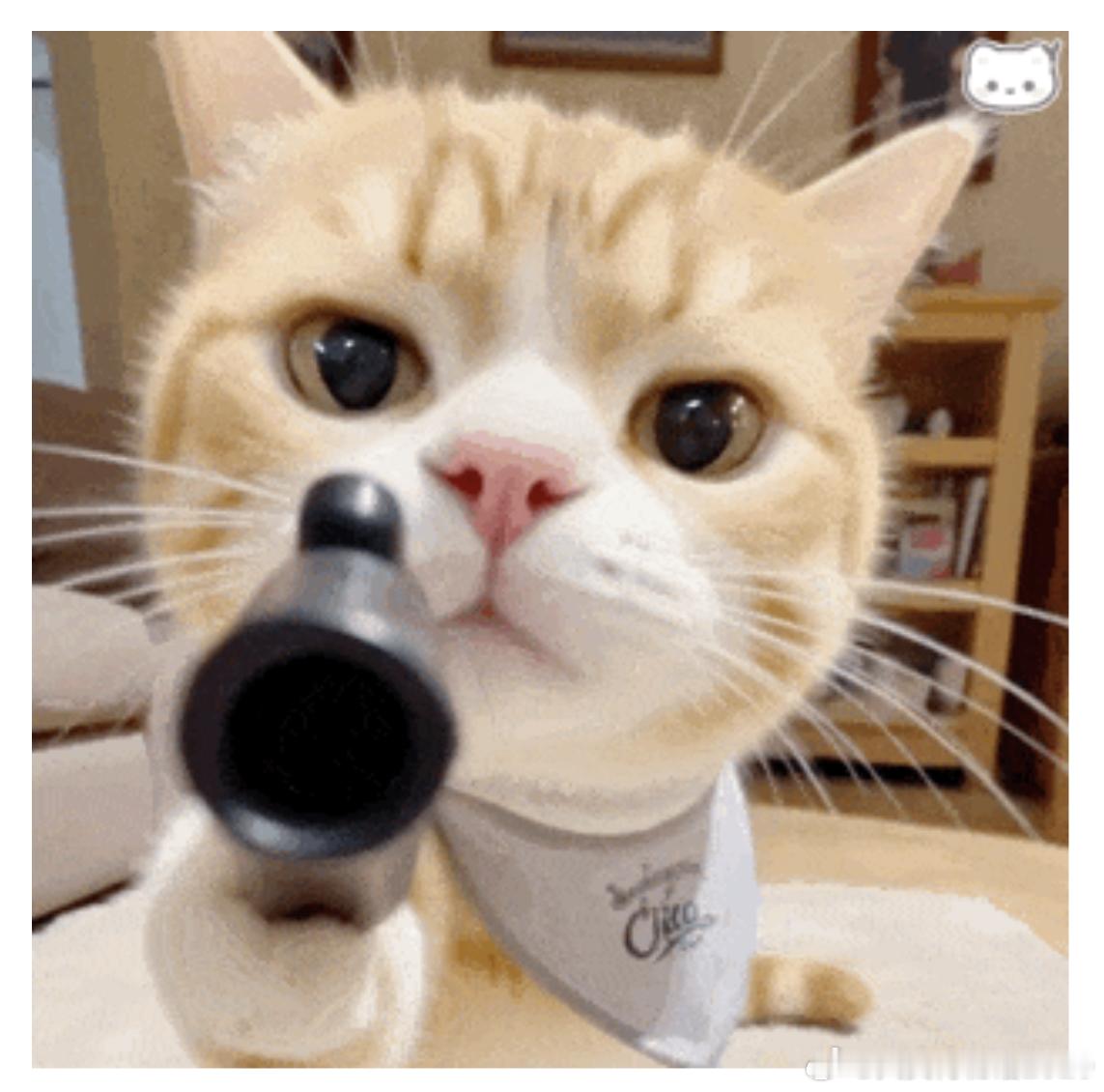 本周ST板块业绩预告扰动期宣告结束，主要体现为提前上涨的保壳*ST系列在预告后阶