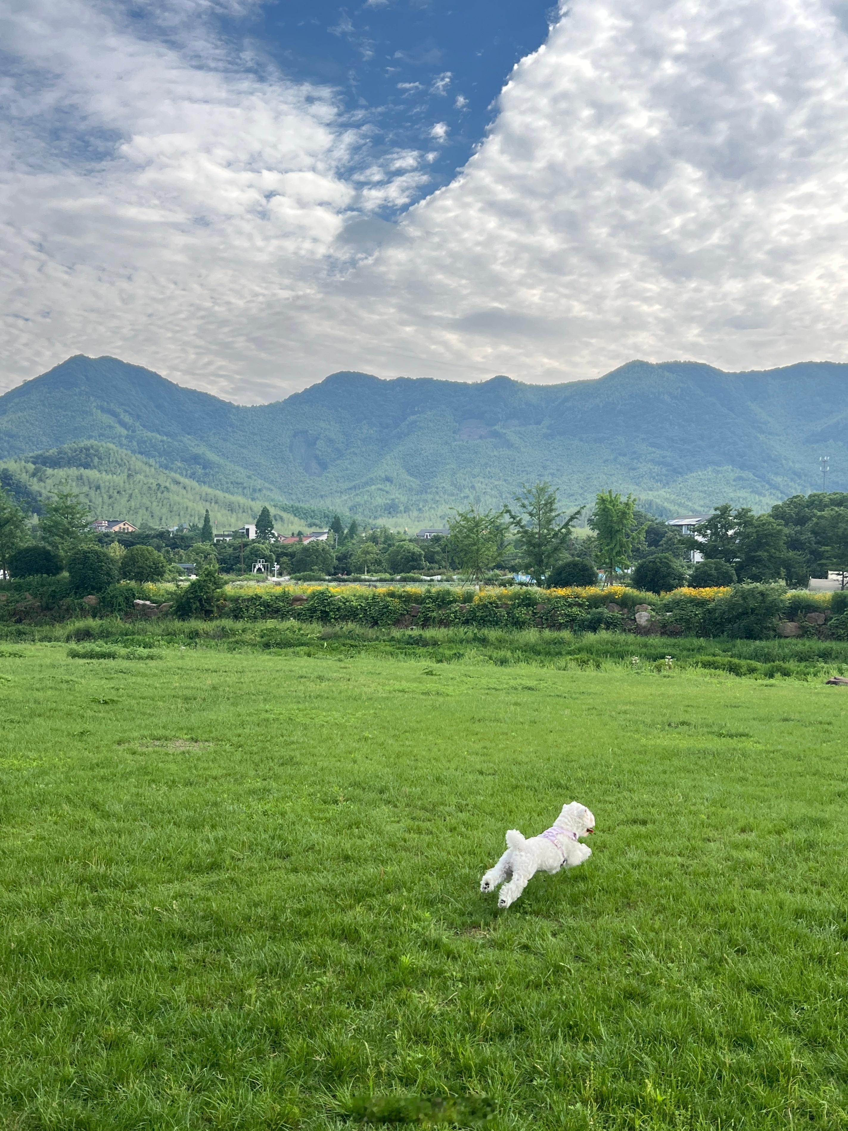 小登打卡第五家花间堂🥰 