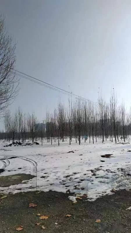 华为的工资还是很高的，在国内，根本没有人会质疑华为的工资水平，离职的，听说股票都