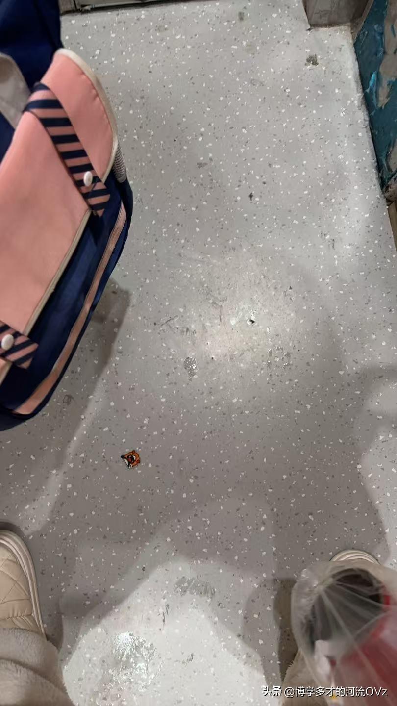 今天是金碧物业走后的第124天，大明物业的第32天。

“能不能不要在电梯里面吐