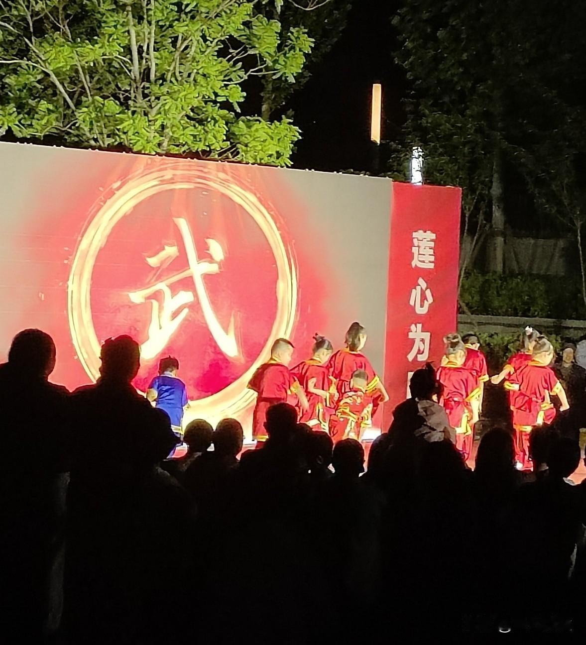 少年强，则国强，社区带来的精彩节目不错，体现了中华武术精髓在于内外兼修，以柔克刚
