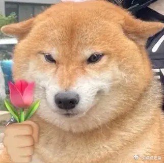 今年世界杯上演和平大联欢两队球员赛后围圈一同祈祷，抛开国别隔阂，绿茵场见证跨越一