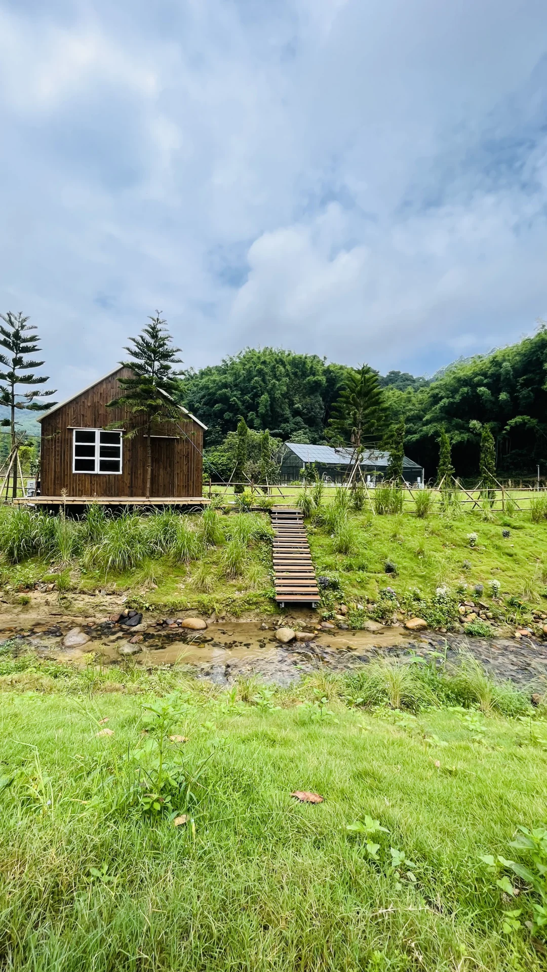 匿藏在广州黄埔的新疆阿勒泰