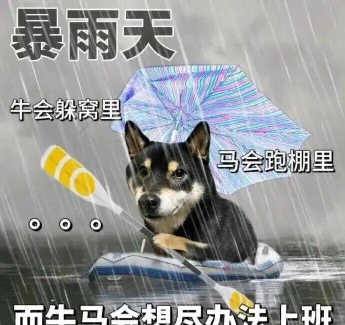 500年内没人能看懂我城市的天气