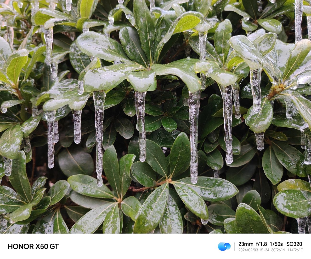 只有冰条，没有雪花！