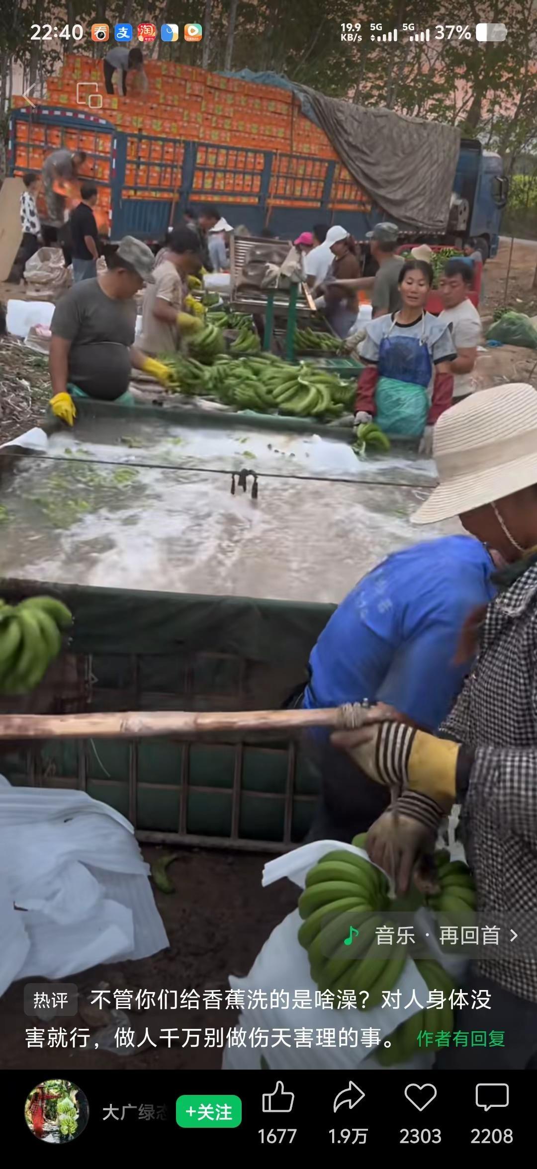 不管你们给香蕉洗的是啥澡？对人身体没害就行，做人千万别做伤天害理的事。