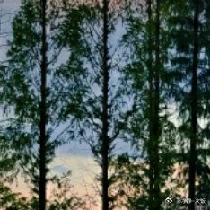 每日一善阳光信用 每日一善青年人，更重要的是看到明天，抓住今天，在宁静中奋进，也