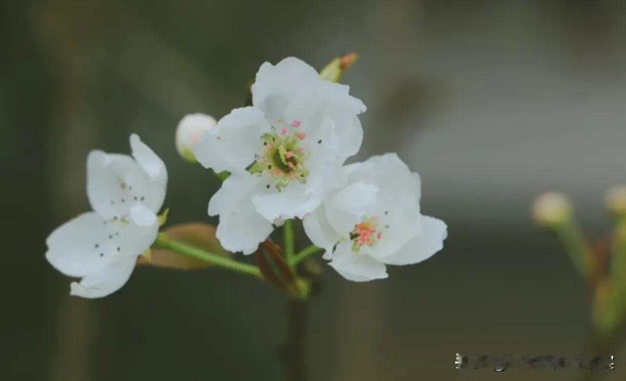 在婚姻生活中，信任和沟通是维系关系的重要因素。然而，有时已婚男人可能会出现变心的