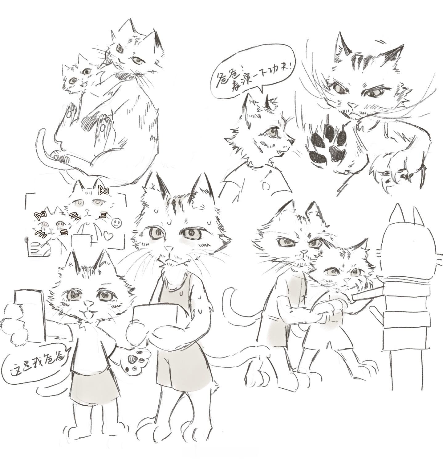 猫猫 
