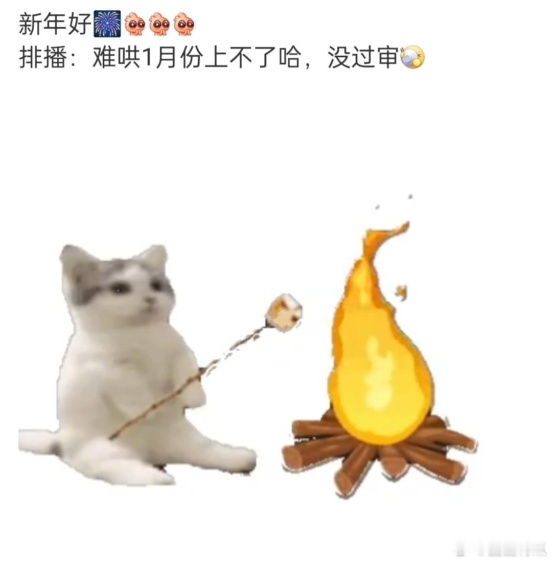 网传白敬亭主演《难哄》因为没过审，一月份上不了 