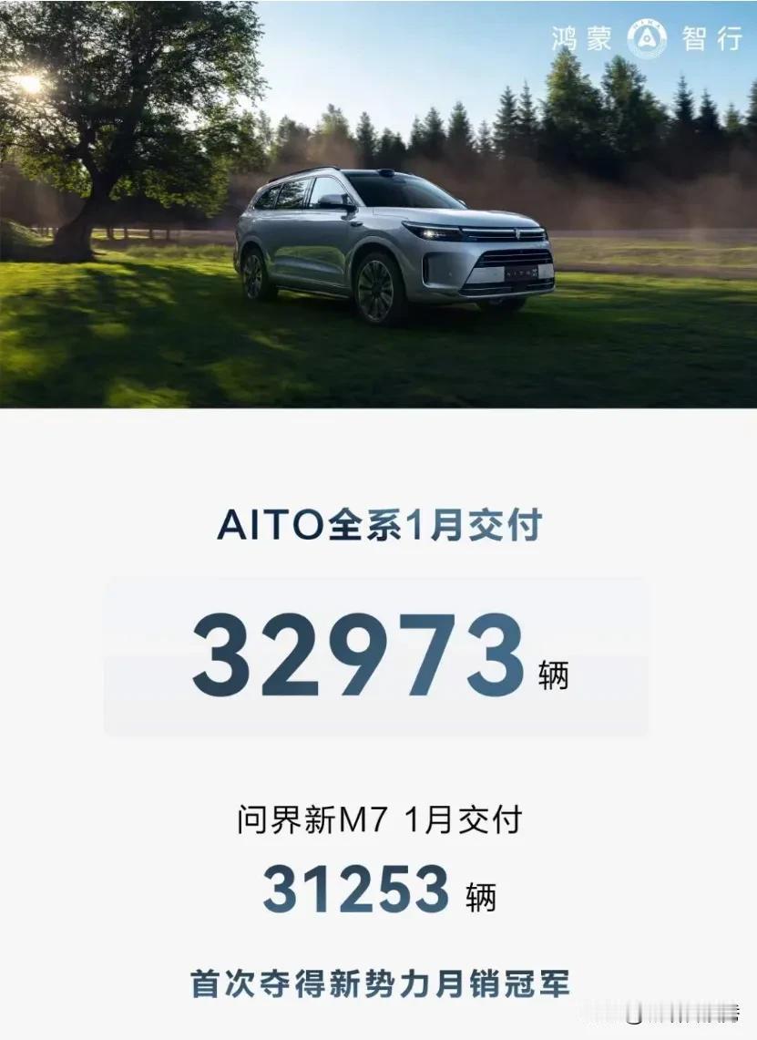 问界一月交付32973辆车，真厉害啊😦#有AITO问界远方#