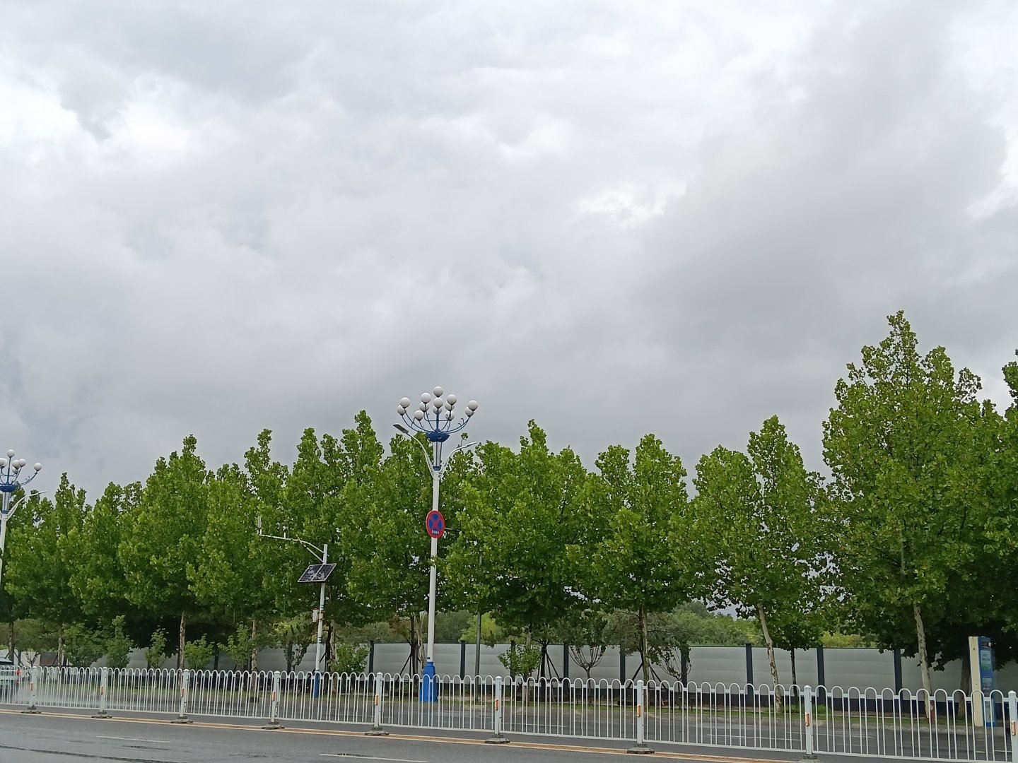 夏天就要被治愈绿茵治愈心灵～ 
