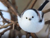 三贵侃体育