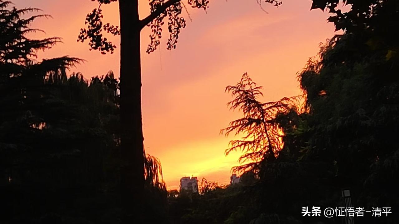 修行，就是把灵魂修的彻底净，彻底真，彻底爱。

彻底净，就是把局限你灵魂的假东西