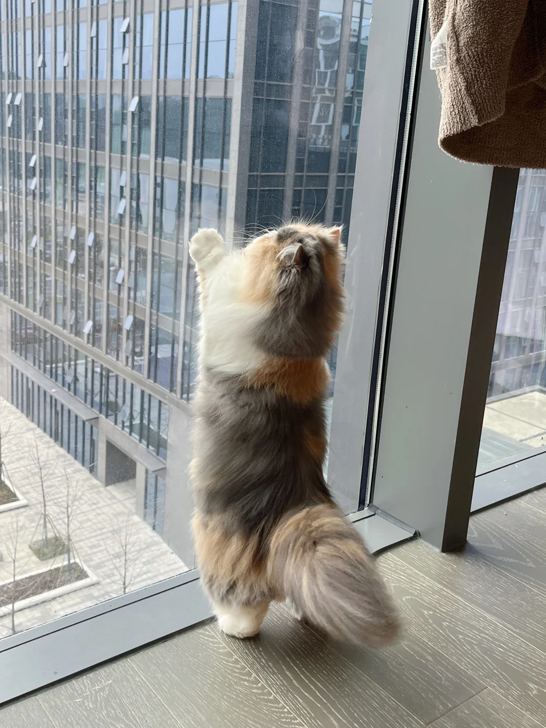 清早起来 拥抱太阳