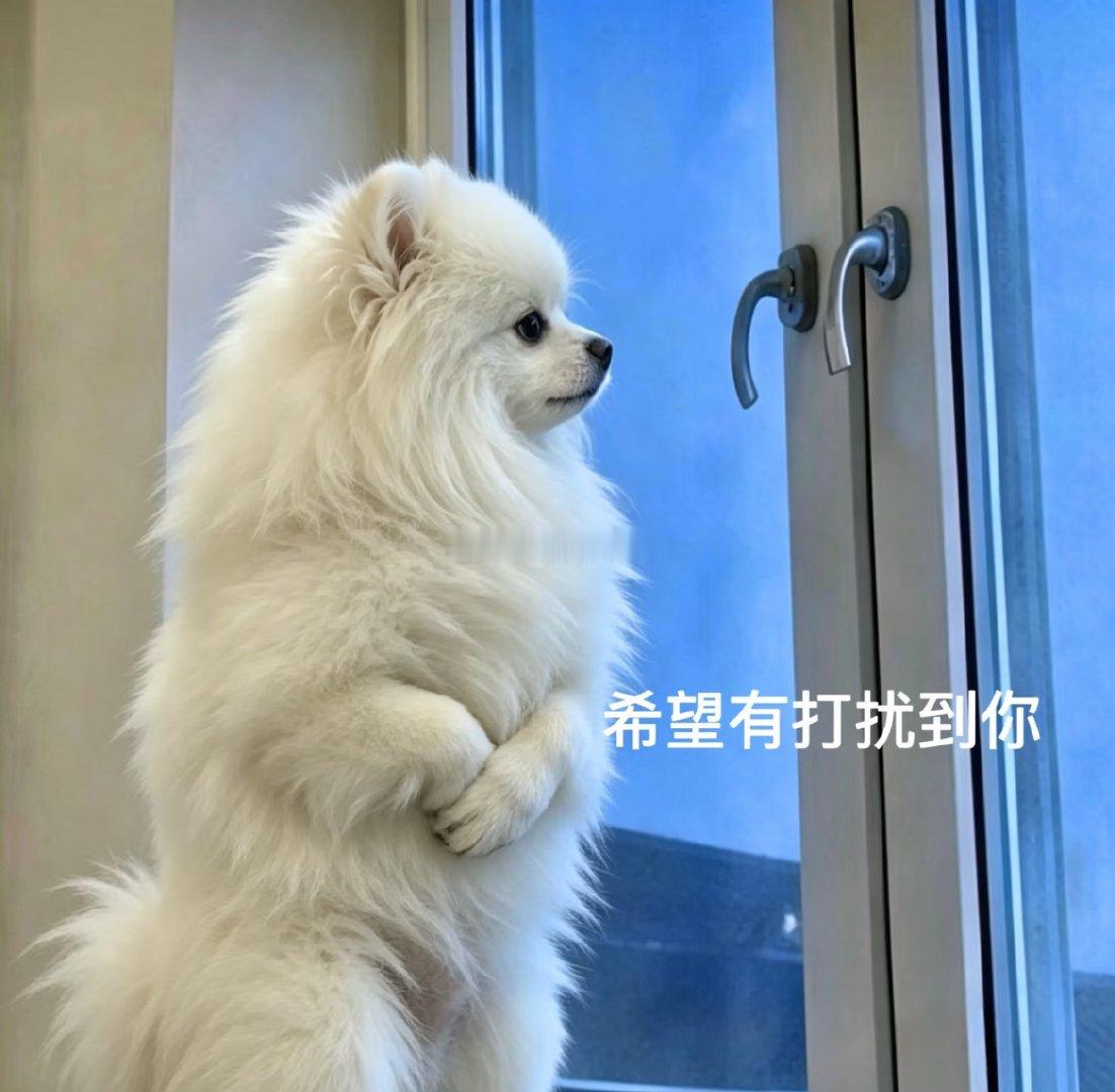 🐺老是喜欢逗我玩！！！我家小区附近有一家成人用品店，你们懂吧就是那种藏在一堆居