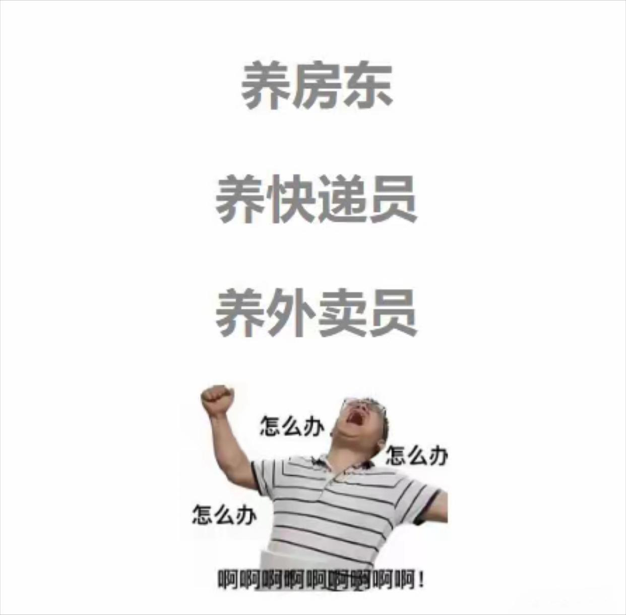 劳苦功高的社会一份子 ​​​