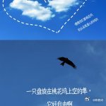 蔡文静说桃花坞像一场梦 听蔡文静说桃花坞是一场梦，感觉那地方充满了诗意。看不完的