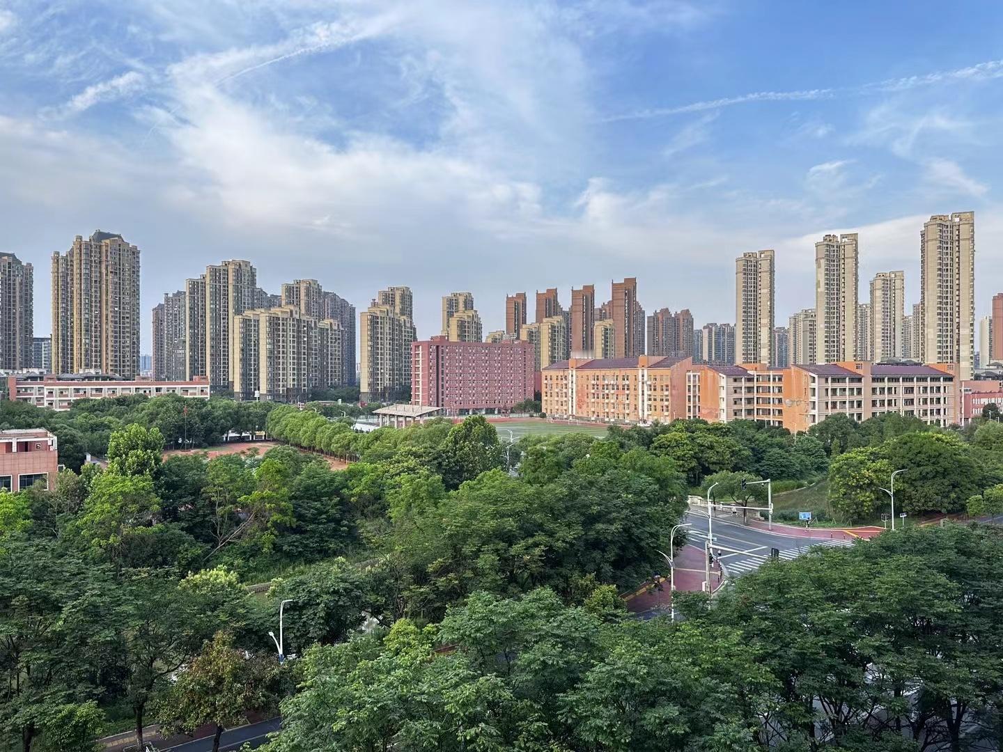 雨后的南昌清澈了不少，空气都清新了[兔子] ​​​