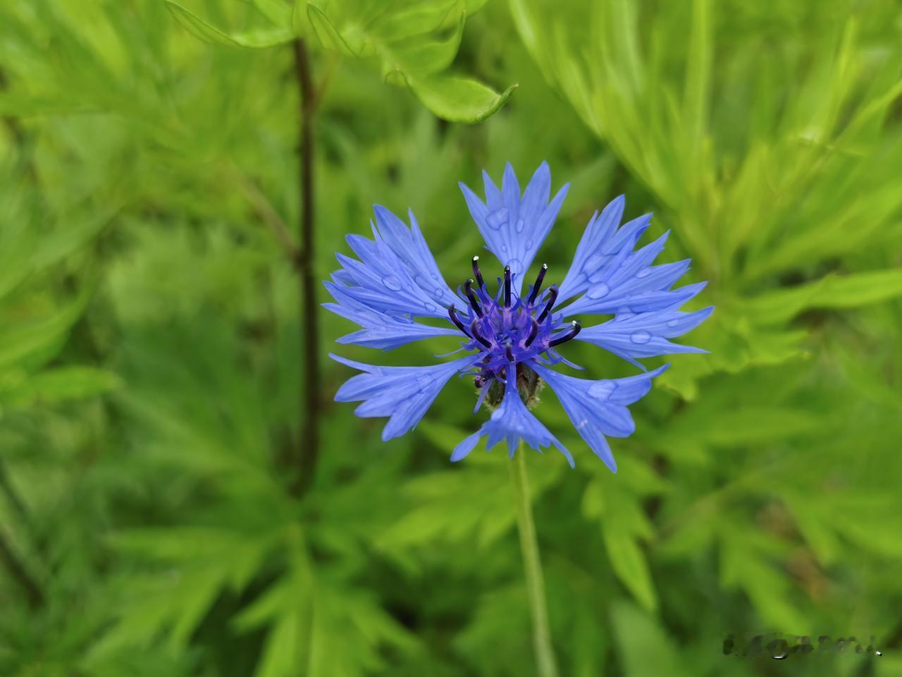 写给自己:
       生活之苦，苦在执着，生活之难，难在放下。
      