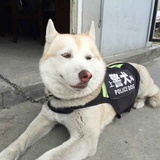 小纯热品体育