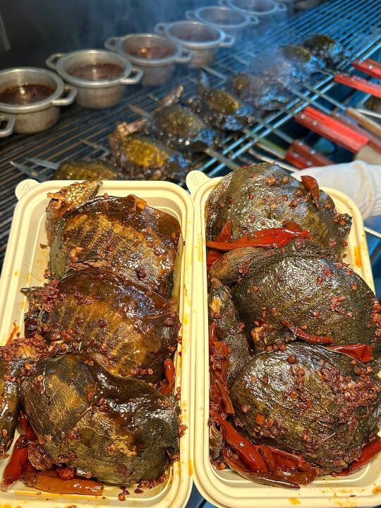 九村也太太太会玩了吧！烤甲鱼绝了