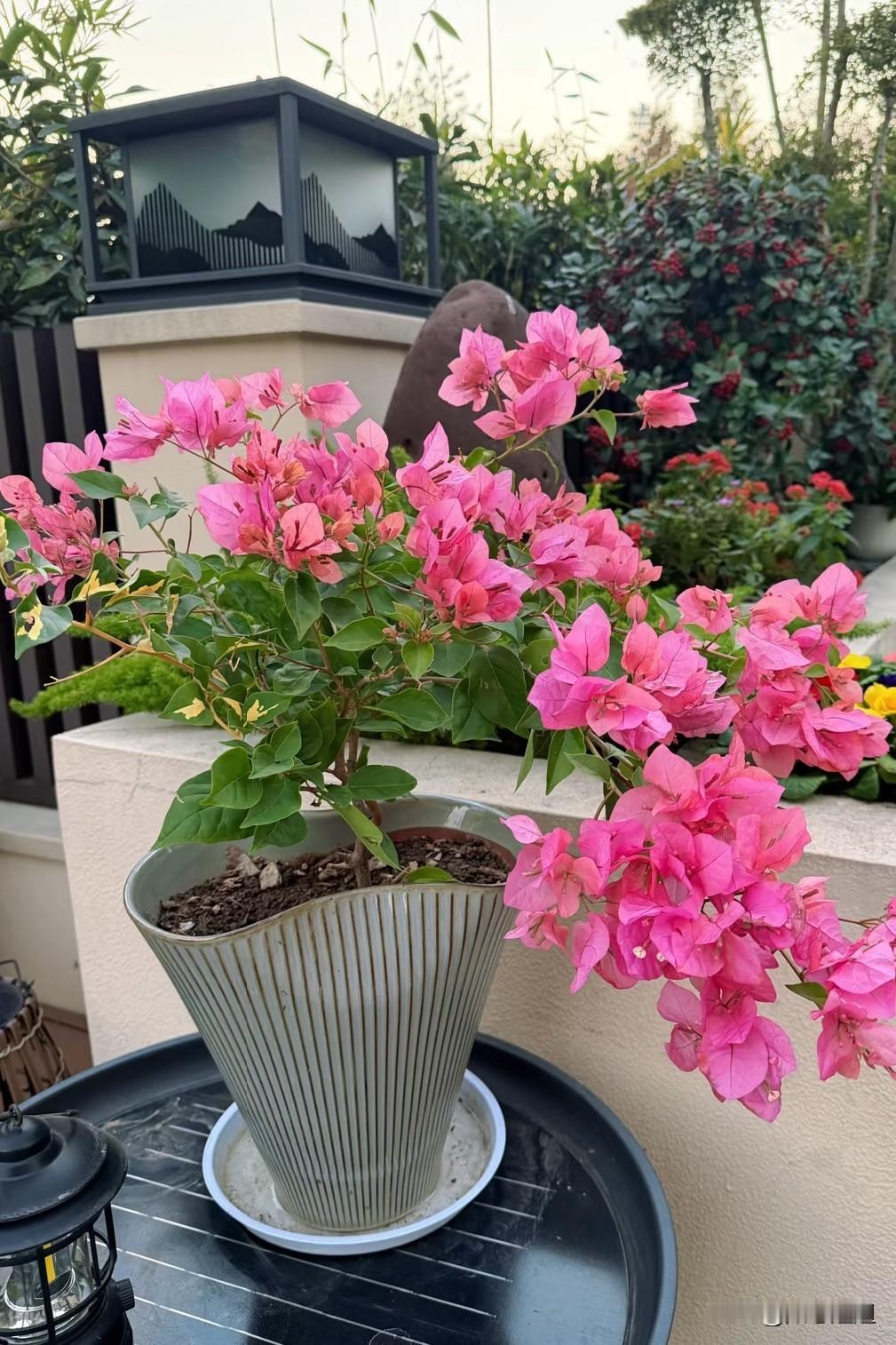 房子再大，睡不过一张床；车子再贵，开不过一条路；存款再多，花不过一辈子。人这辈子