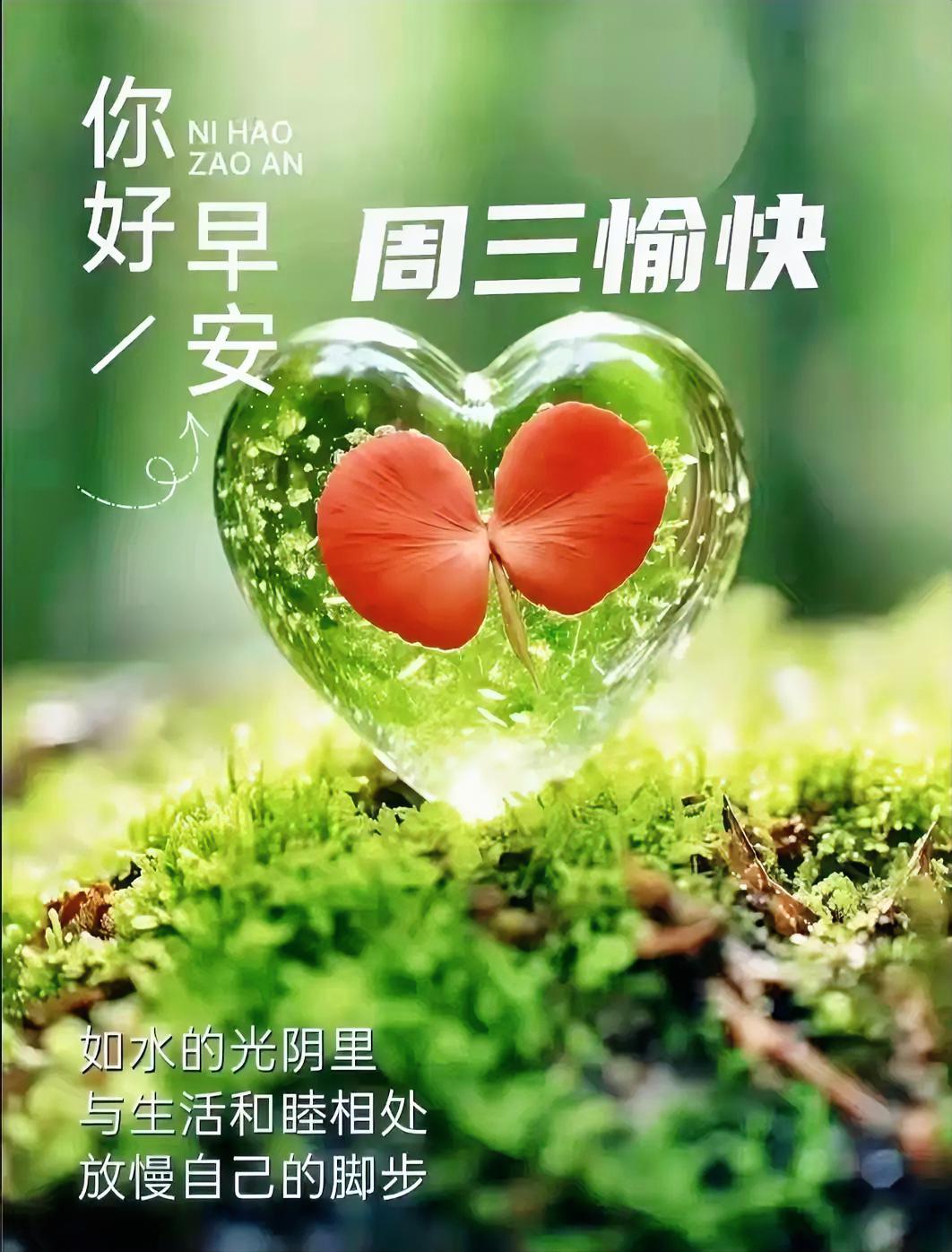 借一缕清晨的微光，送你整日的舒心惬意；新的一天，愿喜乐常伴你左右，开启元气满满的