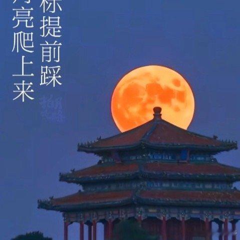 晒晒我拍的超级月亮弄个东风5C往东京飞一下，我要抓拍 ​​​