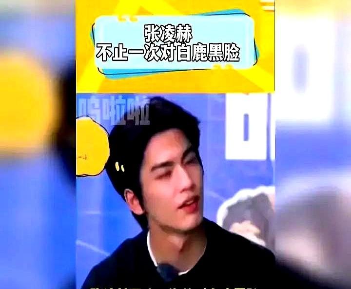 连个表情都没加，这事儿就算翻篇了。

当初《宁安如梦》片场，张凌赫蹲下给白鹿系鞋