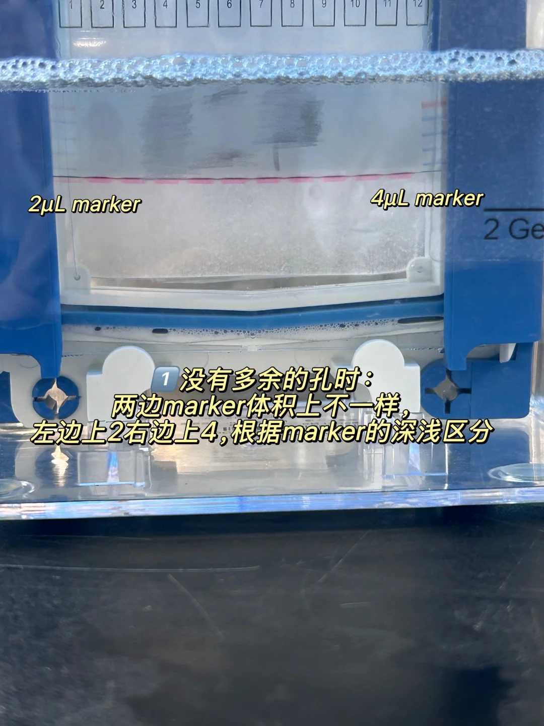 区分PVDF膜正反的几个小tips❗