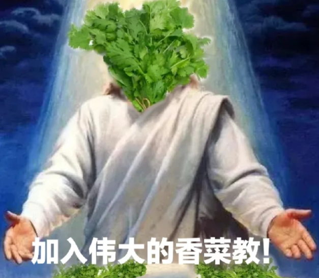 葱花应该当恶魔使用，香菜当天使用 