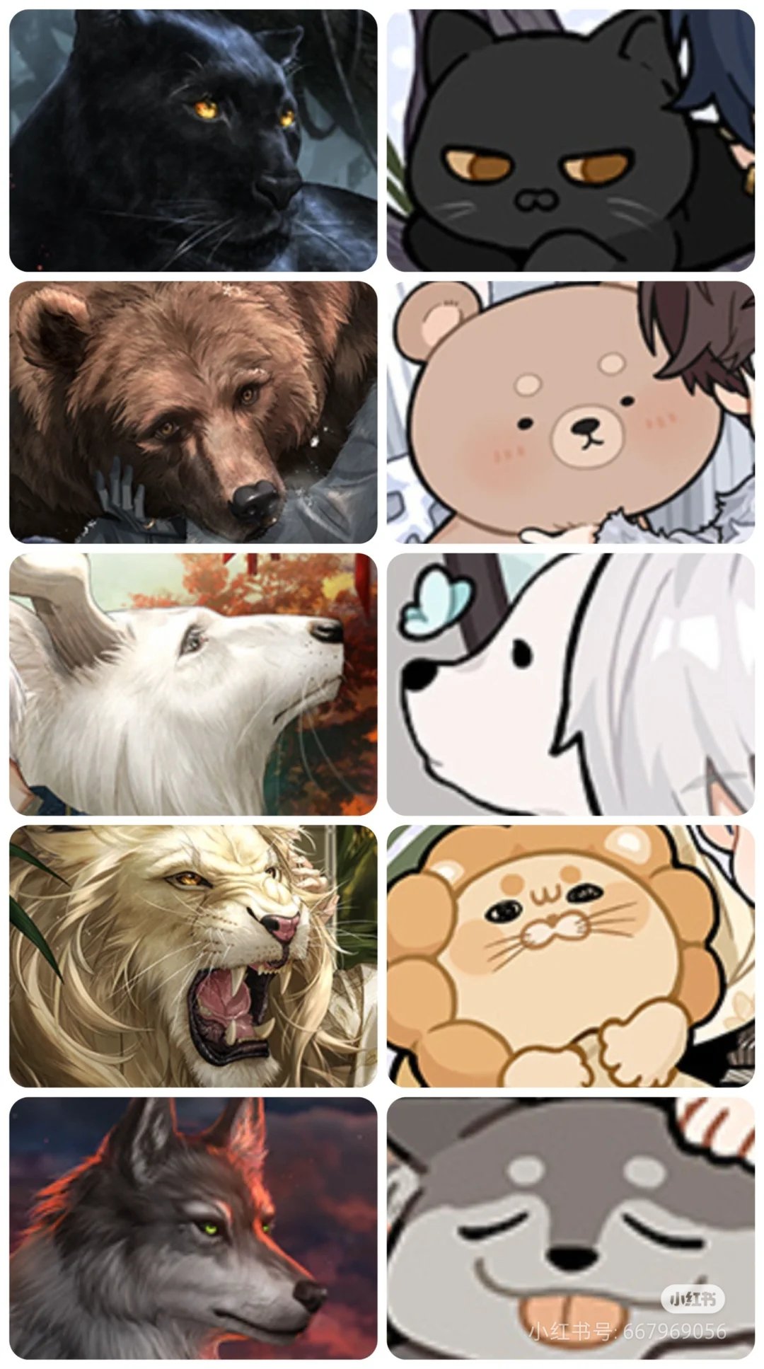 很凶，也很萌[哇] 