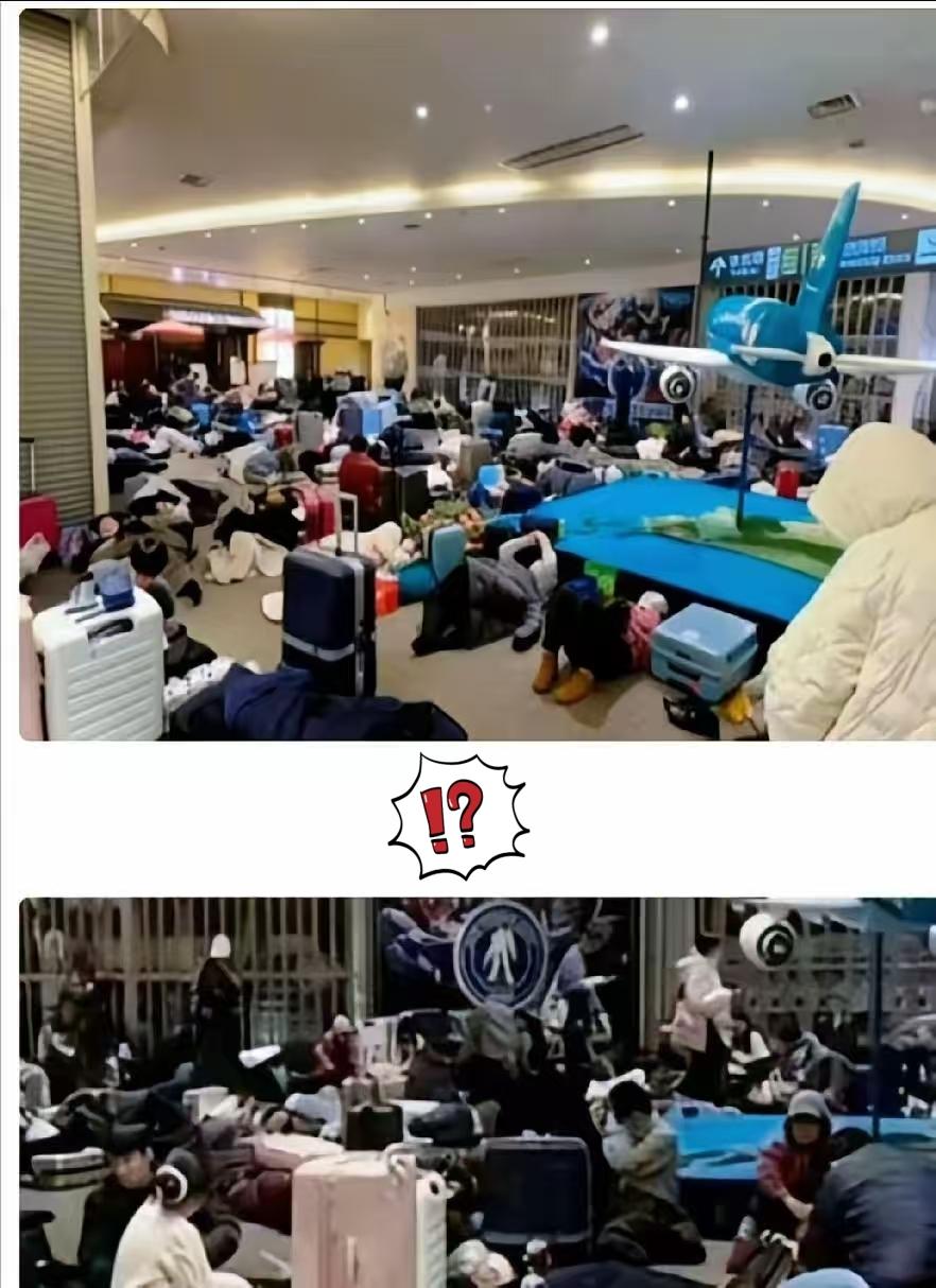 1800名游客被困北海道机场，部分游客呼吁“派包机”回国。可调查下来让人脊背发凉